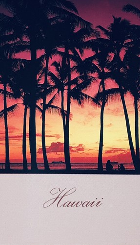 Honolulu hawaii sunset - sunset, in
